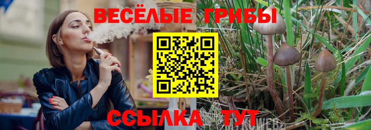 Галлюциногенные грибы прущие грибы  Вход с VPN  наркота  Верхний Уфалей 
