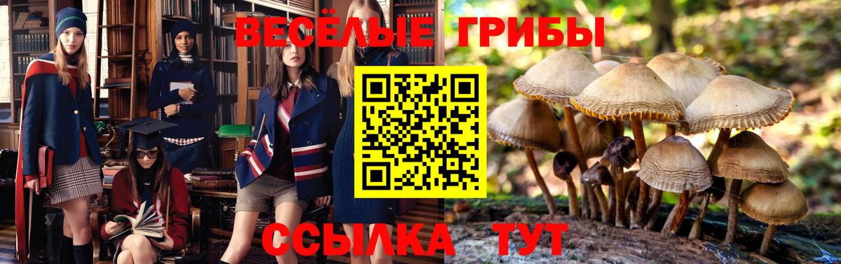 Галлюциногенные грибы Magic Shrooms Верхний Уфалей